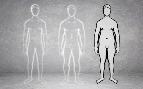 Tipos de cuerpo: endomorfo thumbnail